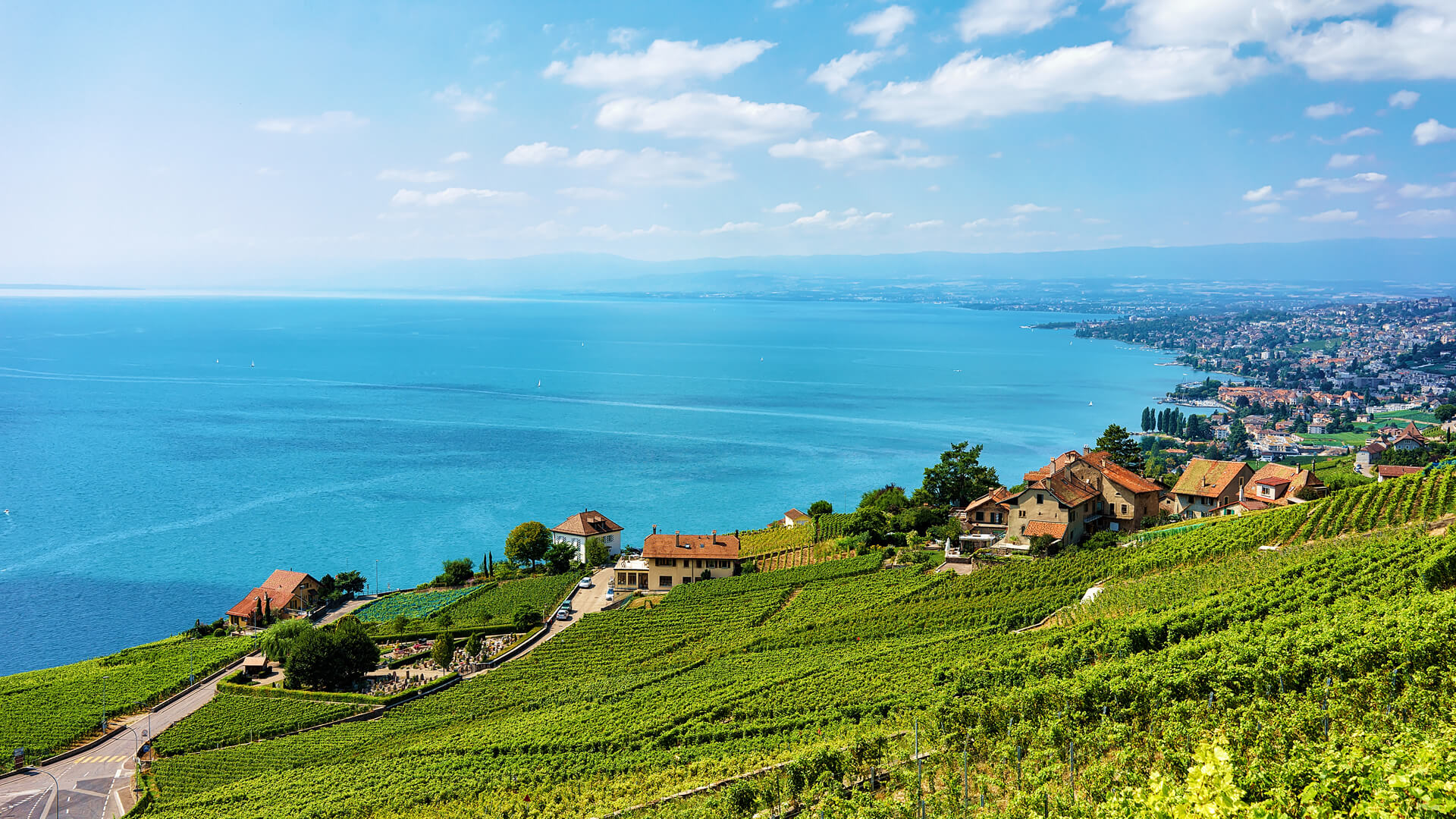 Landscape of Lavaux Vineyard Terrace